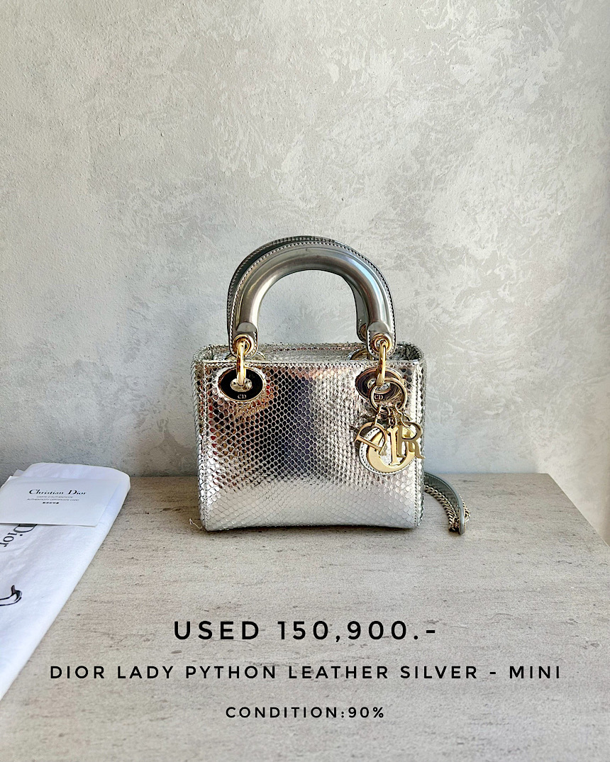 Used Dior Lady Python Leather Silver - Mini