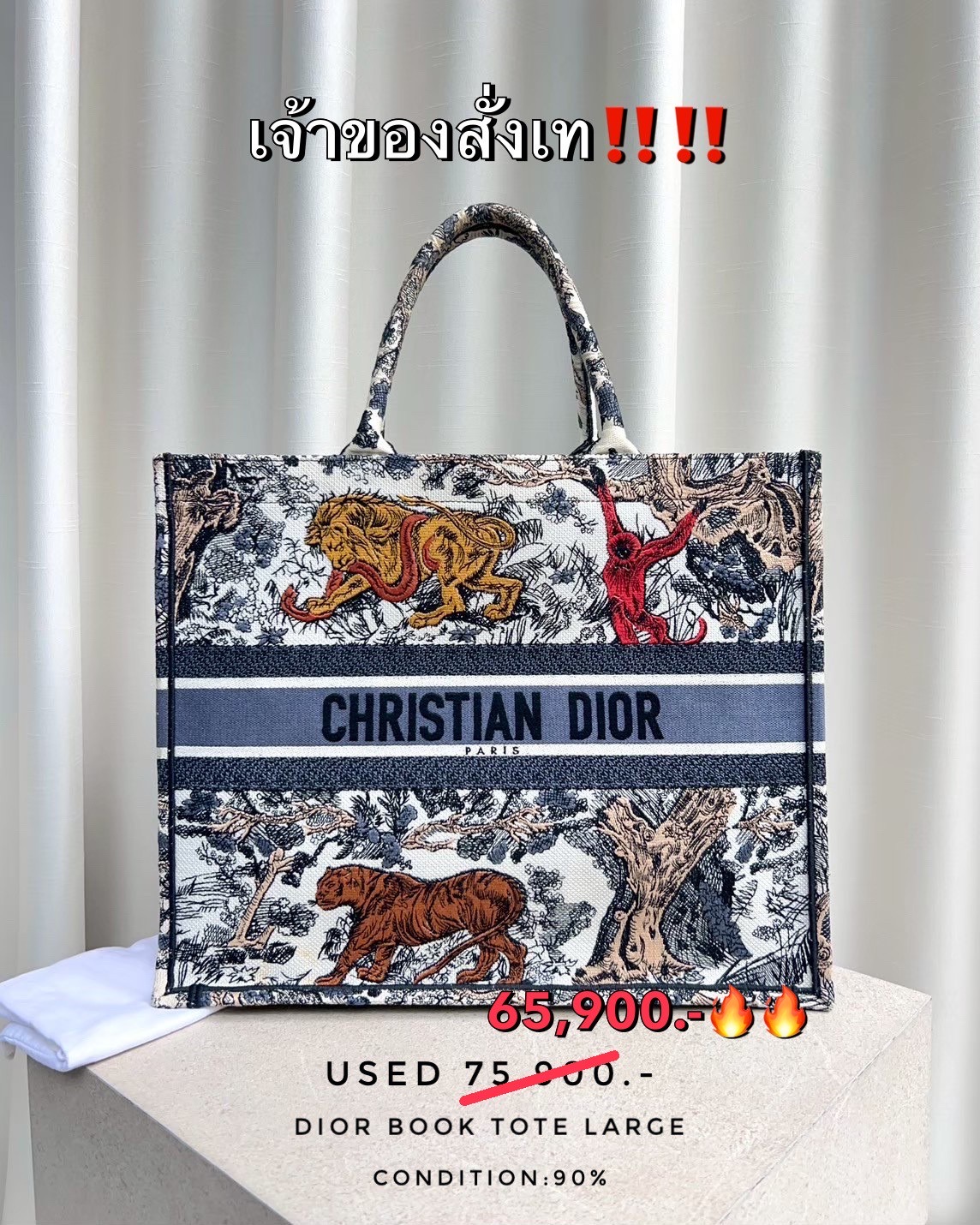 Used Dior Book Tote Large