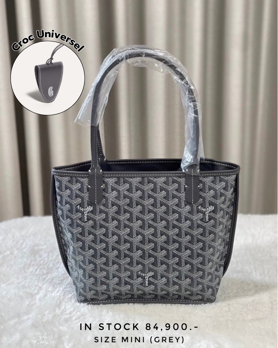 Goyard Anjou Mini - Grey