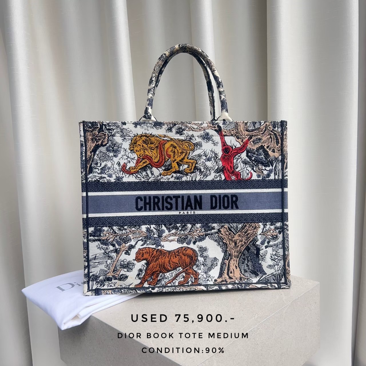 Used Dior Book Tote Medium