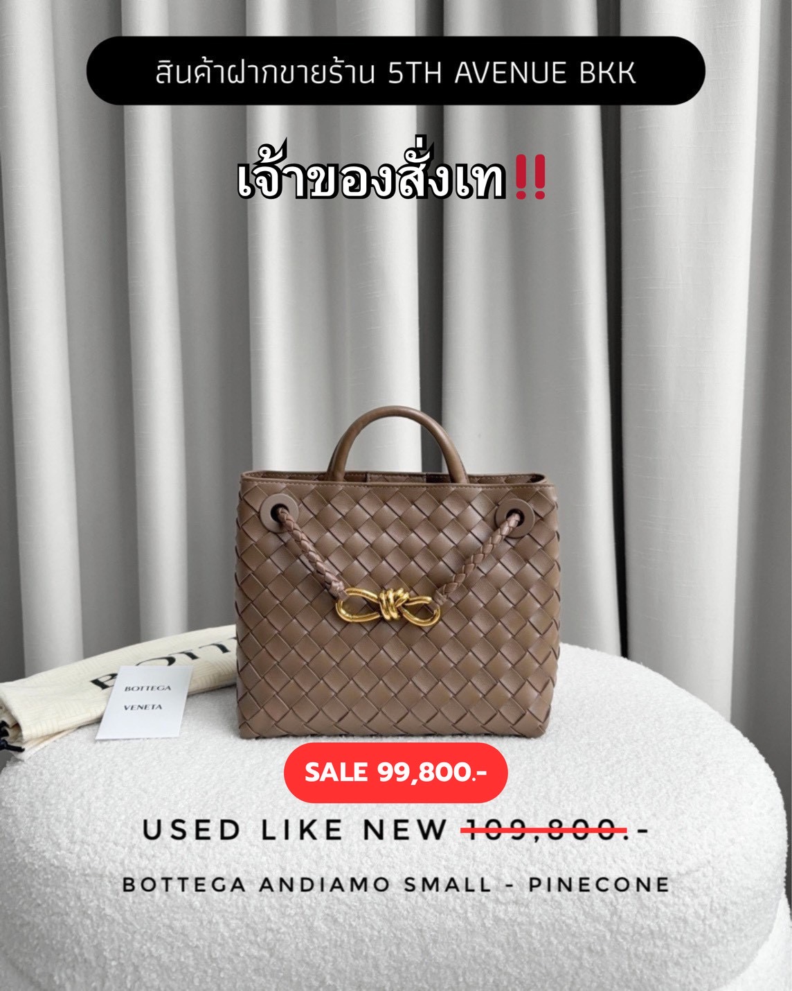 Used Like New Bottega Andiamo Small - Pinecone