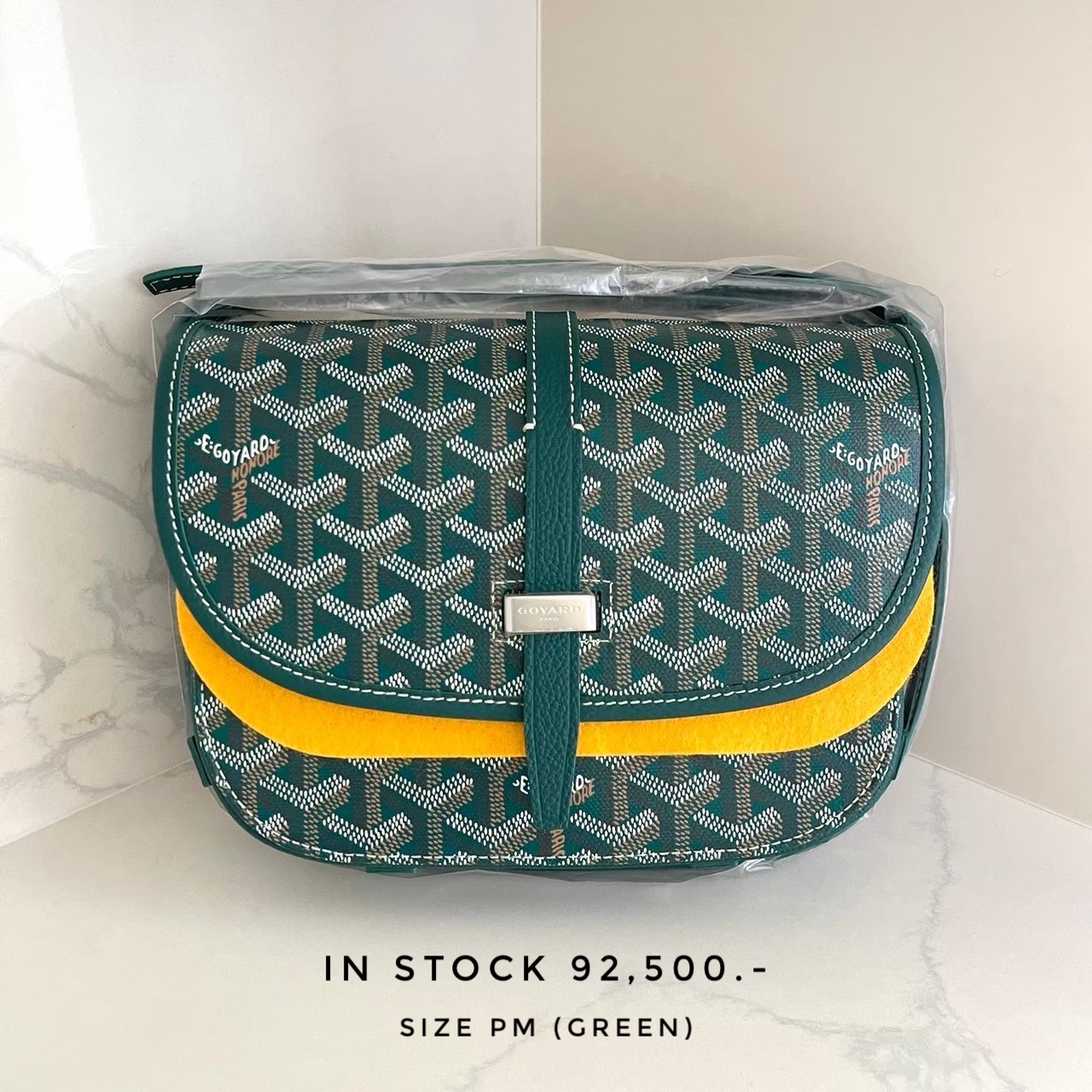 GOYARD Belvedere PM Bag - Green 